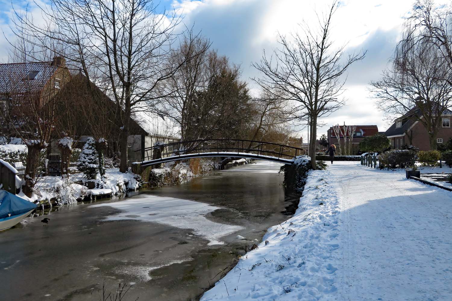 Winter in Den Hoorn - 9 februari 2021