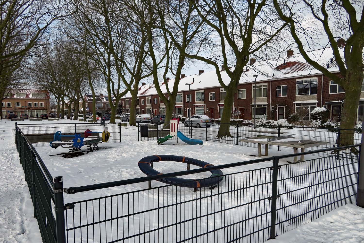 Winter in Den Hoorn - 9 februari 2021