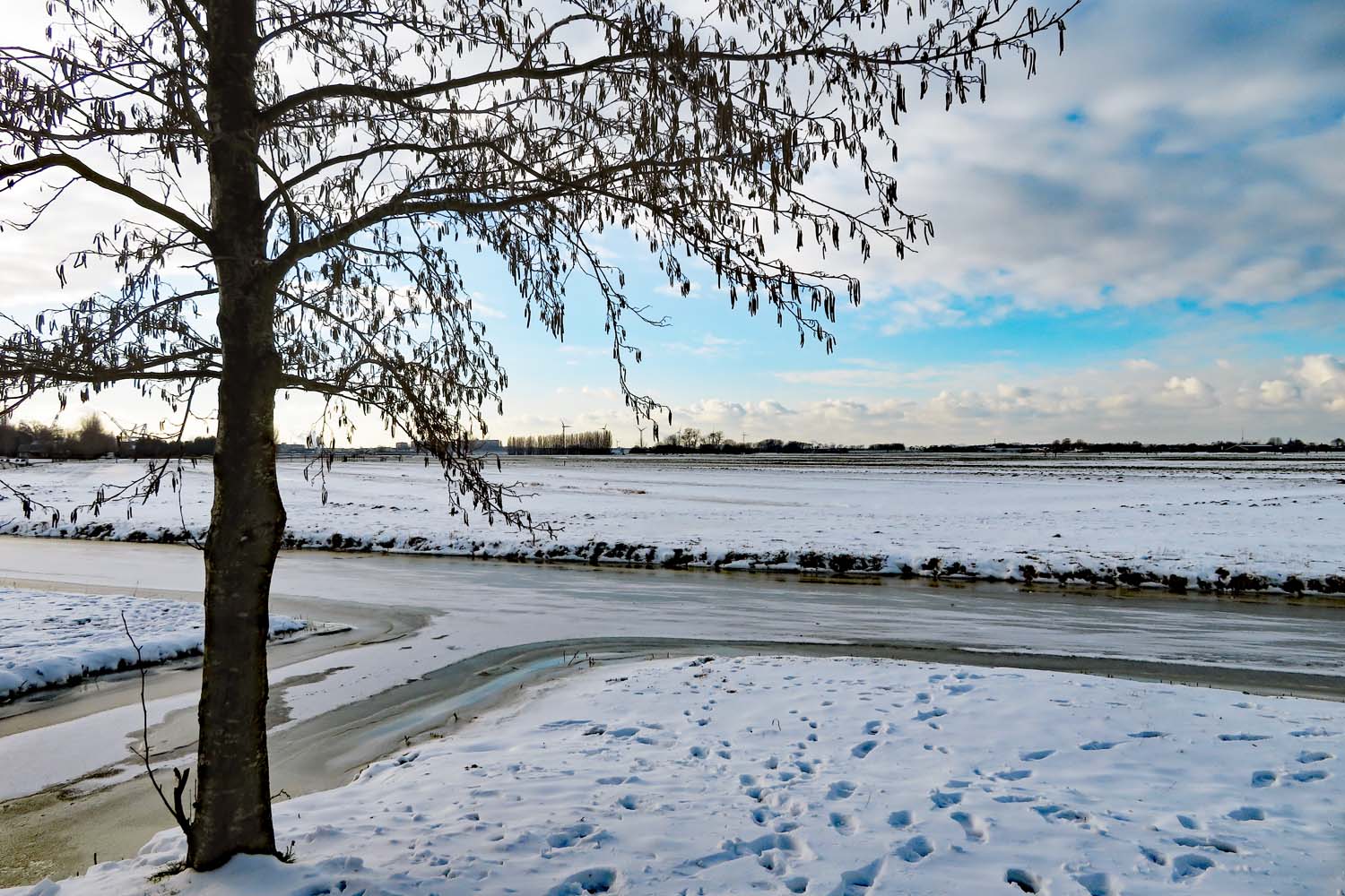 Winter in Maasland - 10 februari 2021
